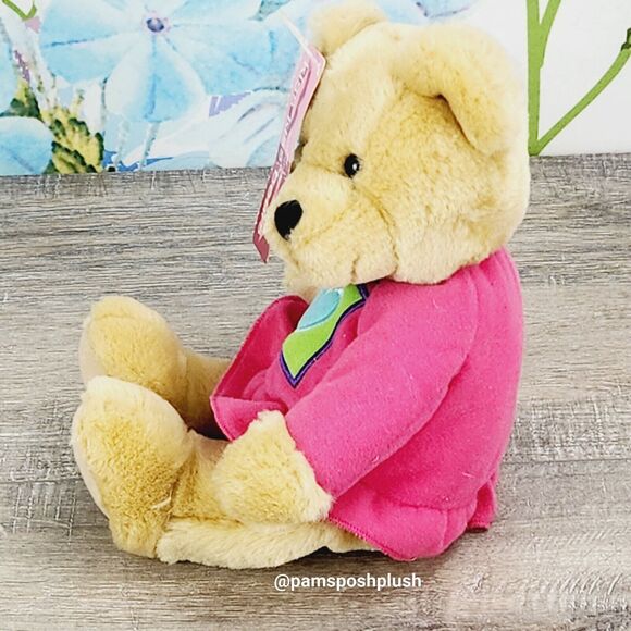 Hallmark Kiss Kiss Teddy Bear Plush 10" Valentine’s Green Heart Pink Outfit - Picture 6 of 7